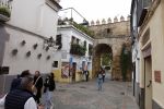 PICTURES/Cordoba - Street Scenes/t_DSC00811.JPG